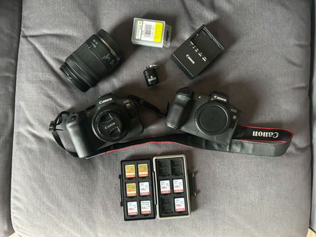Flatlay photo of concert photographer Stephanie Sheronovich’s gear kit, including the Canon EOS R6 Mark II, Canon EOS R with a 24–105mm lens, 50mm f/1.8 lens, memory cards, earplugs, and other live music photography essentials.