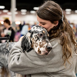 English Setter
