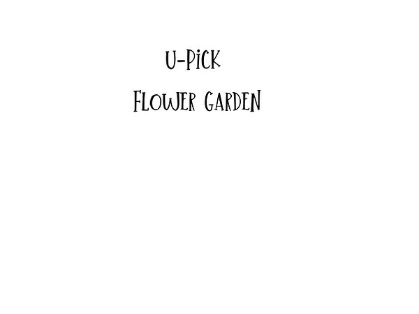U-Pick Flower Garden 