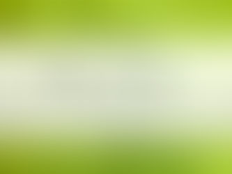Which Matcha Should I Use? Comparing Different Matcha Sources