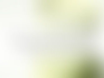 How Does Matcha Improve Mood?