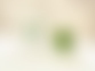 What You Need To Know About Pique Life Matcha