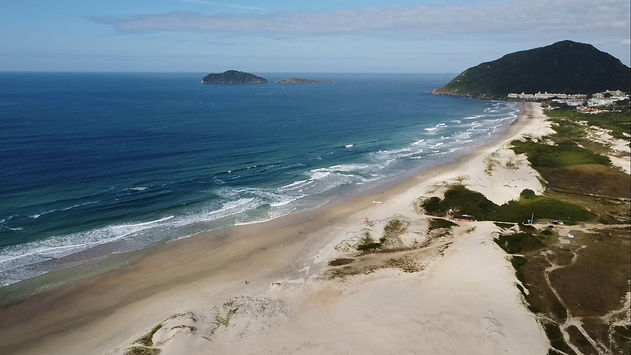santinho site.jpg