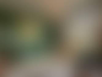 Top Painting Services in Kingston, Ontario