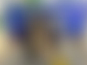 Melhor tarrafeador é eleito e ganha prêmio de R$ 500 na Feira do Peixe em Cruzeiro do Sul