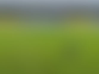 Prefeitura de Cruzeiro do Sul realiza últimos preparativos para a abertura da 2ª edição do Campeonato Cruzeirense de Futebol Feminino 2026