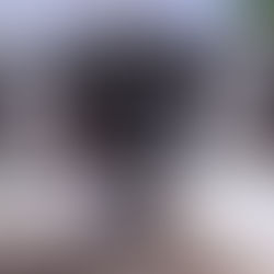 Carnaval de Cruzeiro do Sul terá palco de 13 x 12 metros, 40 banheiros químicos e 70 Policiais e seguranças