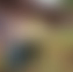 Prefeitura de Cruzeiro do Sul dá ordem de serviço para construção de banheiros públicos nas paradas de ônibus da Joaquim Távora