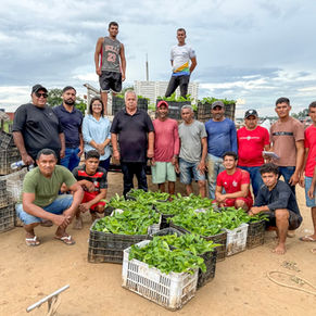 Prefeitura de Cruzeiro do Sul entrega 24 mil mudas de café do Programa de Desenvolvimento Sustentável da Cafeicultura