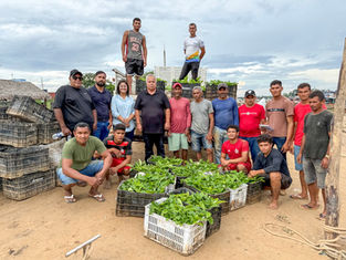 Prefeitura de Cruzeiro do Sul entrega 24 mil mudas de café do Programa de Desenvolvimento Sustentável da Cafeicultura