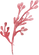 ばら7.png