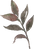 ばら11.png