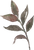 ばら11.png