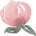 ばら3.png