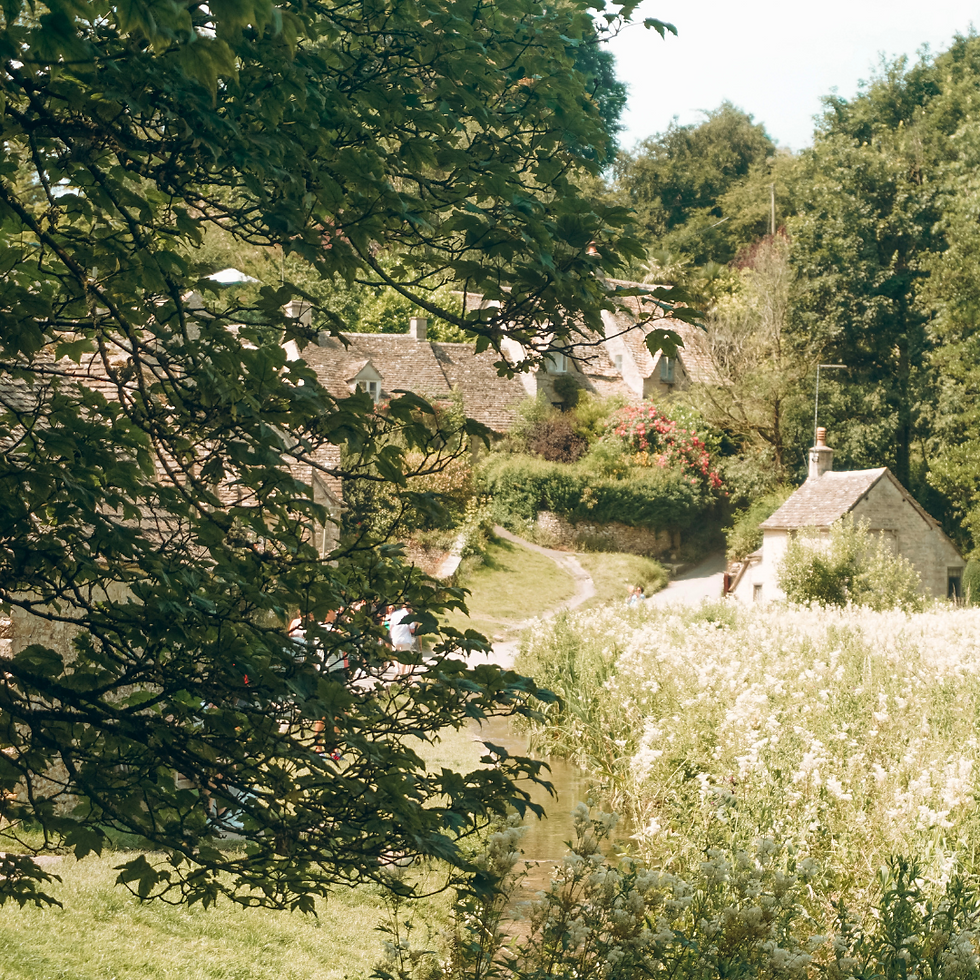 Arlington Row through trees