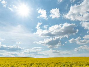 How to Have a Happy Summer – No Matter What: Living with Wonder and Awe