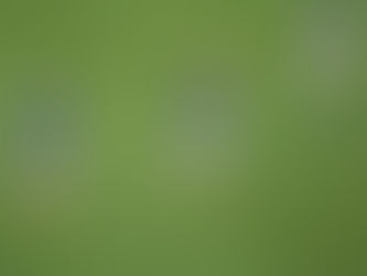 Esto le dijeron a Messi para que salude a hinchas en el Monumental