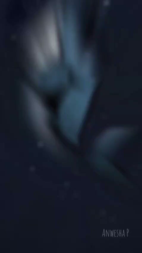 vid1.mp4