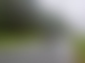 Pine Forest TT - Round 6