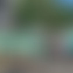 Paths to Peaks 28-Jun-2025