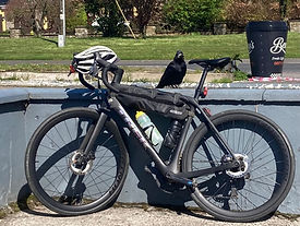 Audax Bike