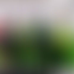 5 mins - Sinead Kennedy (2016)