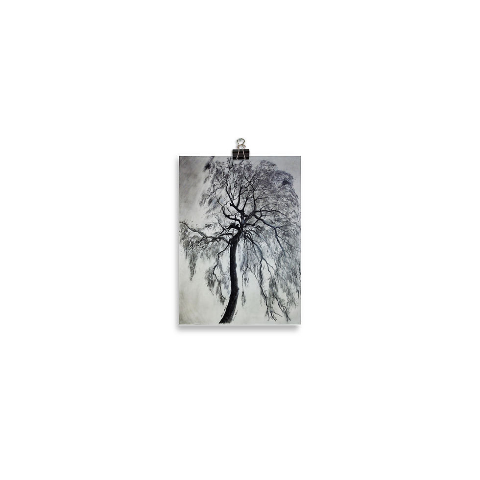 Thumbnail: Perfer, Obdura "Endure, Be Firm" weeping tree drawing- Poster print