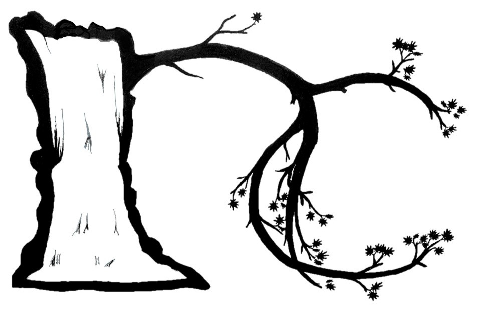 Natural Coalescence logo