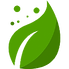 exterra, la solution anti-termite respectueuse de l'environnement