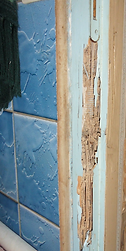 dégâts causés par les termites