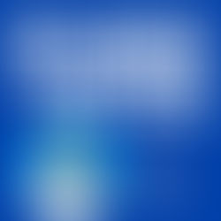 THE SHEKEL IN FIGURES - January 2026