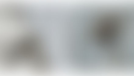 My World of Animals: Extreme #17