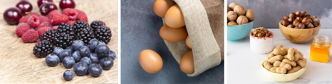 Arranged Food and Objects