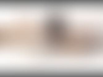 รวมน้องกระต่าย พันธุ์ยอดนิยม และการเลี้ยงดู