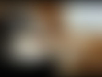 เมื่อต้องปล่อยสัตว์เลี้ยงอยู่บ้าน เรามีเคล็ดลับมาฝาก