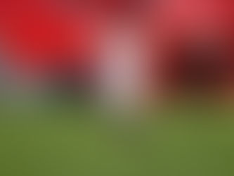 UFABETWINS 'ดอร์ท'เล็งเอ็น-เนซีรี่หากเสียฮาแลนด์