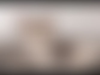 มารู้จัก น้องแมว อเมริกันช็อตแฮร์ และการเลี้ยงดู