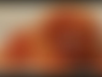 ทิเบตัน แมสทิฟฟ์ เจ้าตูบบิ๊กไซส์