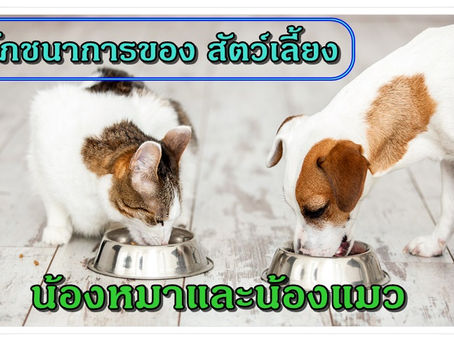 สารอาหารสำคัญ ด้านโภชนาการ ของสุนัขและแมว