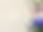 thewillowsingingtree-fade-main-page.jpg