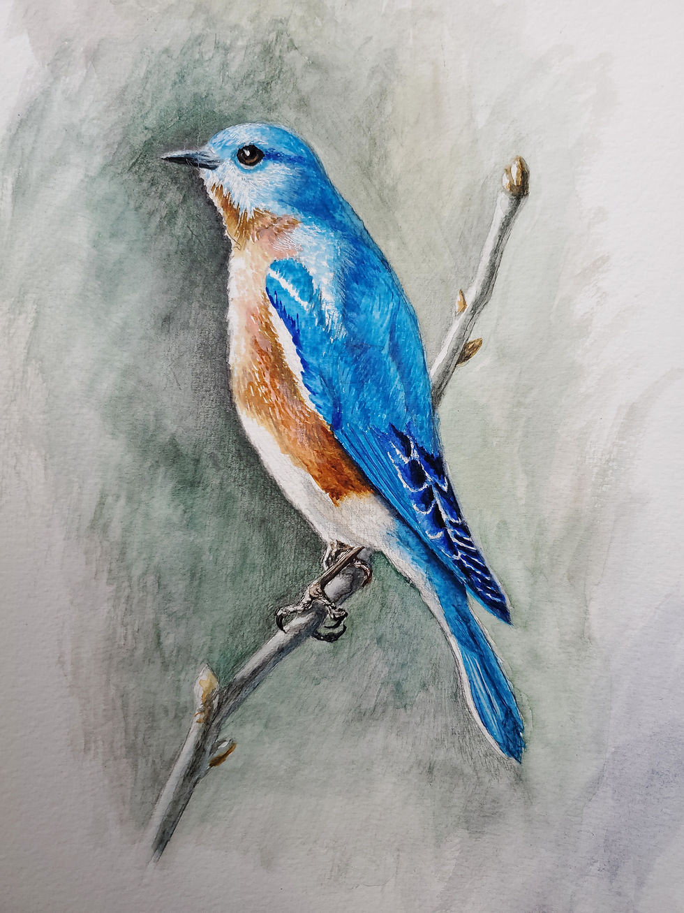Daydreamer 1. Watercolor