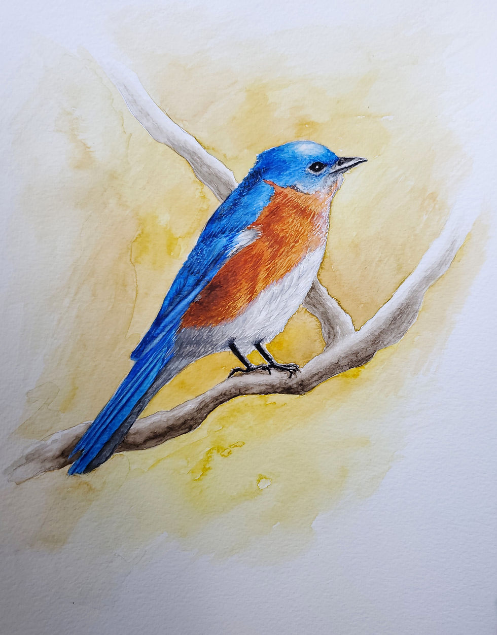 Daydreamer 2. Watercolor