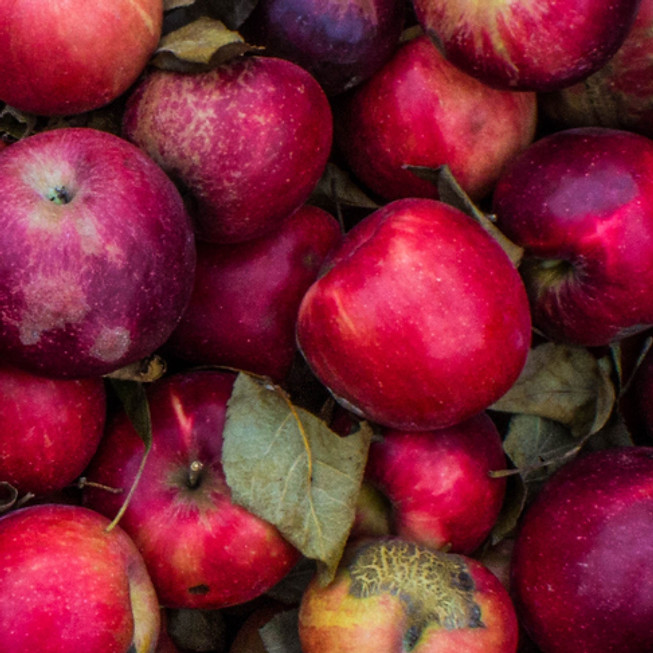 Apples