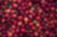 Apple Harvest