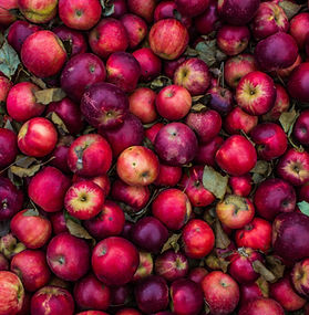 Doll's Orchard