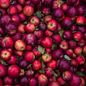 Apfel Zimt