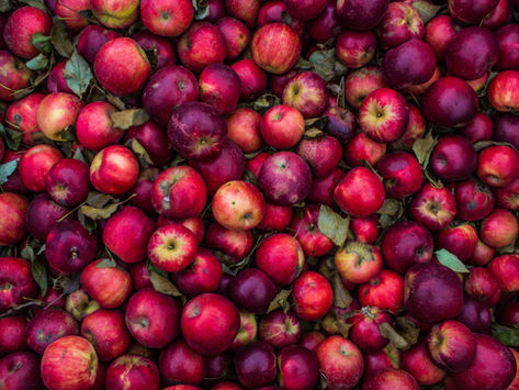 Apples can help with Diarrhea | Yoga of Eating