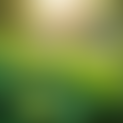 The Importance of Sustainable Living in Today's World