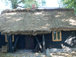 Muzealna chata w Murzynowie_