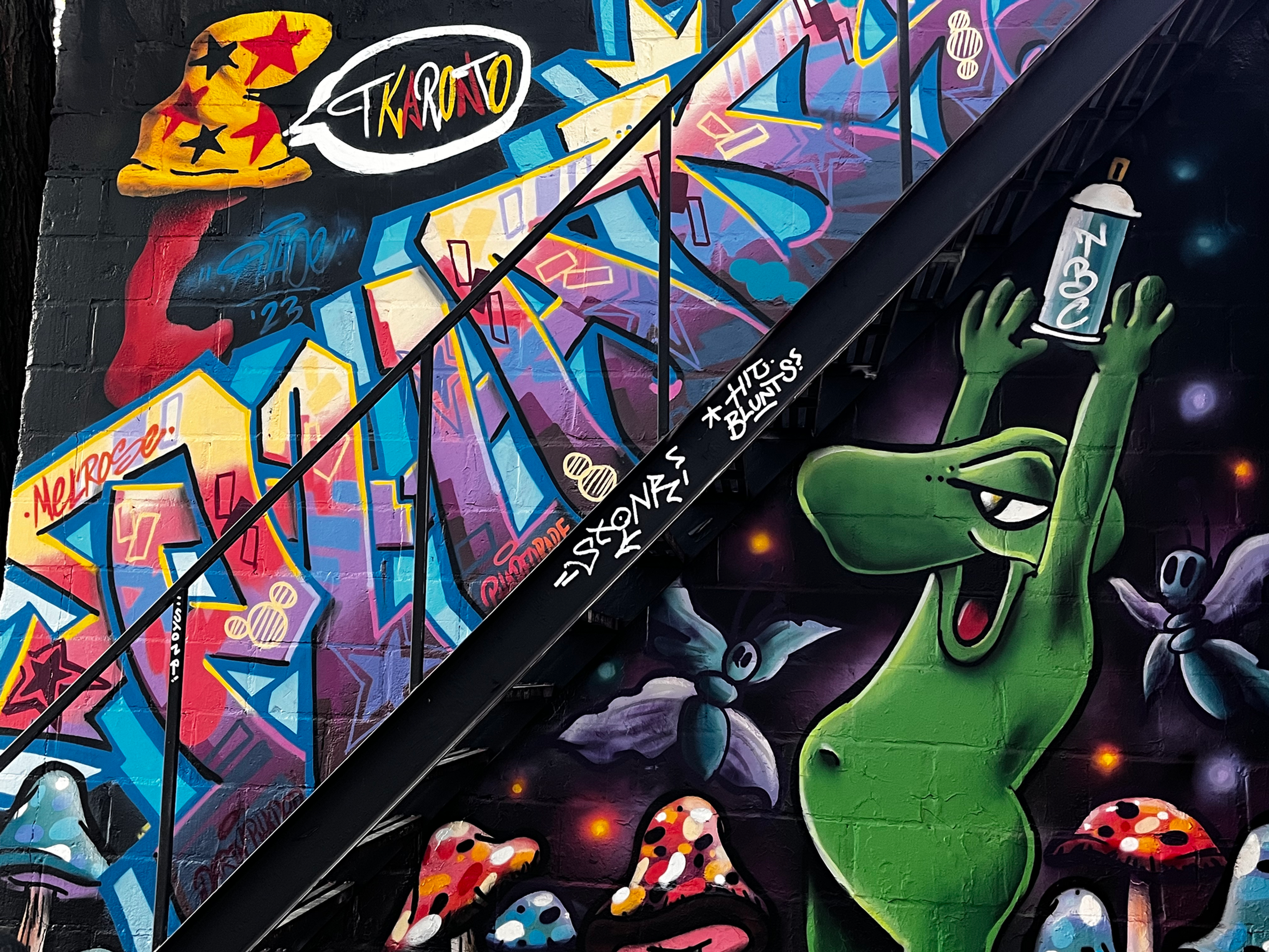 Toronto Graffiti Alley Street Art Walking Tour | Tour Guys